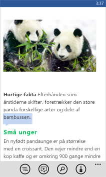 Åbnet Word-dokument
