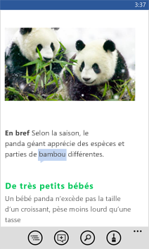Document Word ouvert
