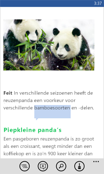 Geopend Word-document