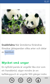 Öppnat Word-dokument